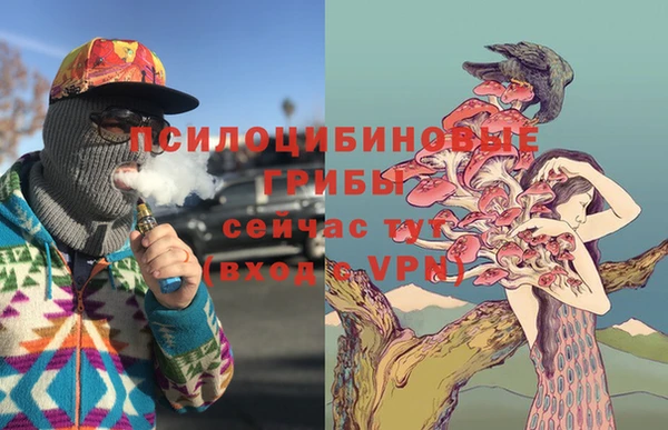 спиды Надым