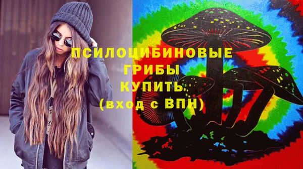 ECSTASY Навашино