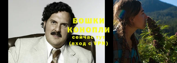 гидра Новоузенск