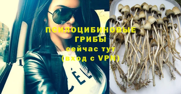 ECSTASY Навашино