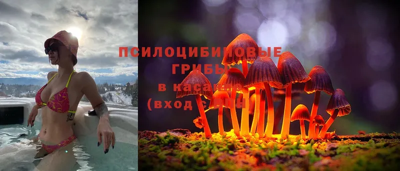 Галлюциногенные грибы Magic Shrooms  Константиновск 