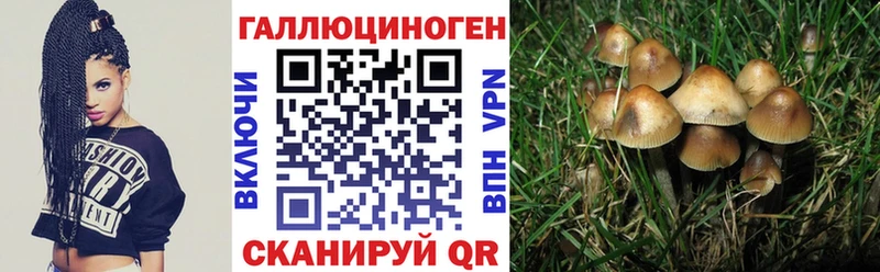 магазин    Константиновск  Галлюциногенные грибы MAGIC MUSHROOMS 